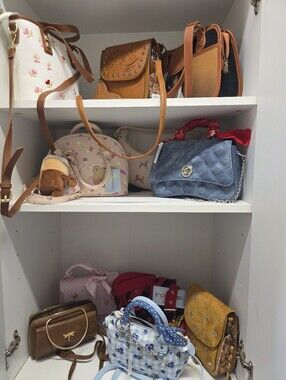 BUY NOW...The $20 BAG CLOSET